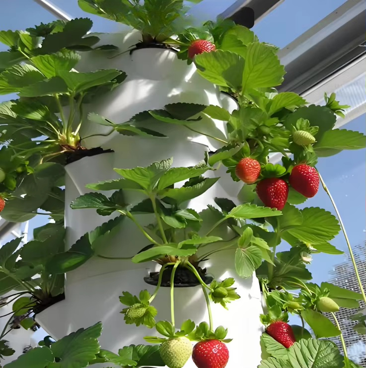 نظام جداري معياري للزراعة الما - مراجعة Urban Farming Garden وسعره